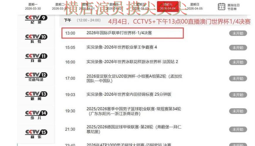 世界杯投注平台盘点报告：高清直播+直播与实际体验总结 - 世界杯高清直播